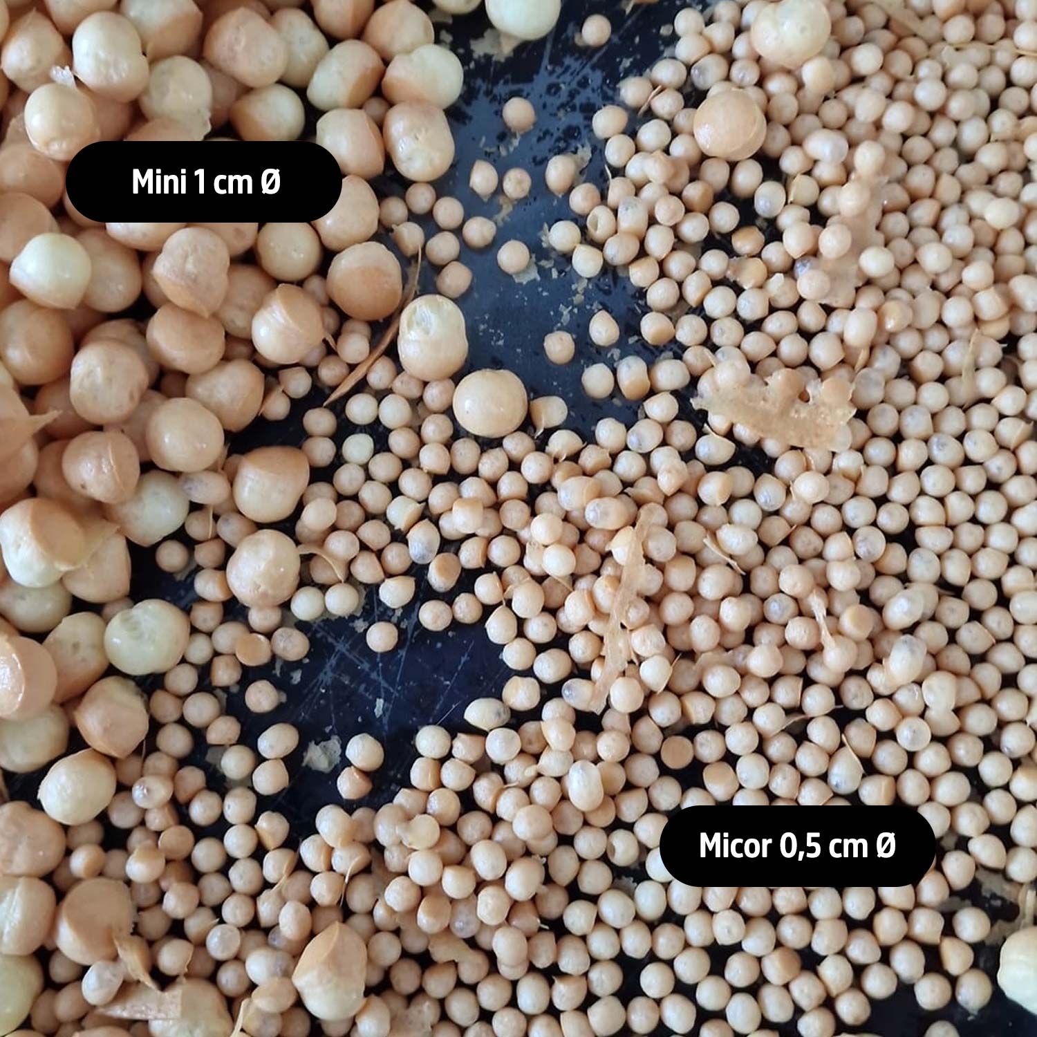 Hemispherical baking molds