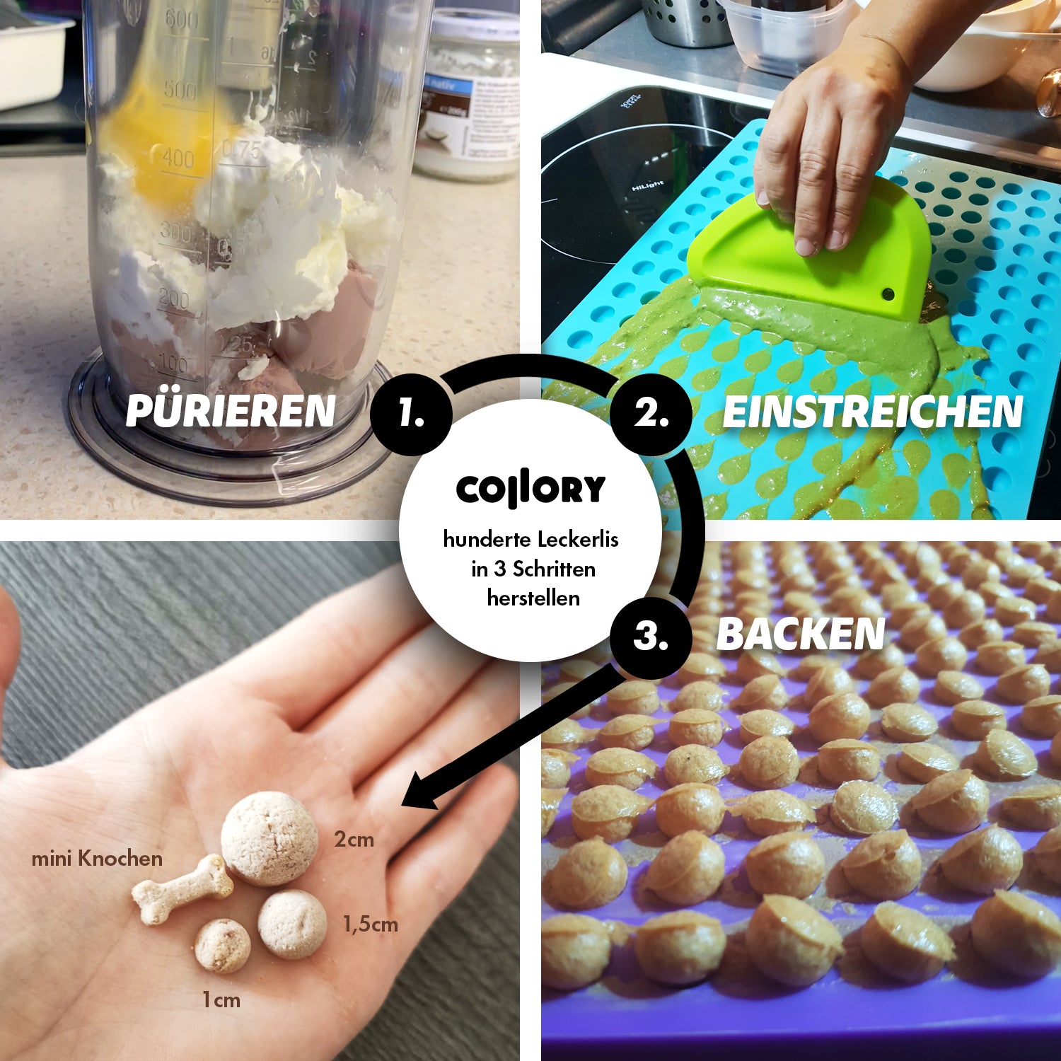 Collory Backmatten Hundekekse Oster Bundle (mittelgroße/ große Hunde)