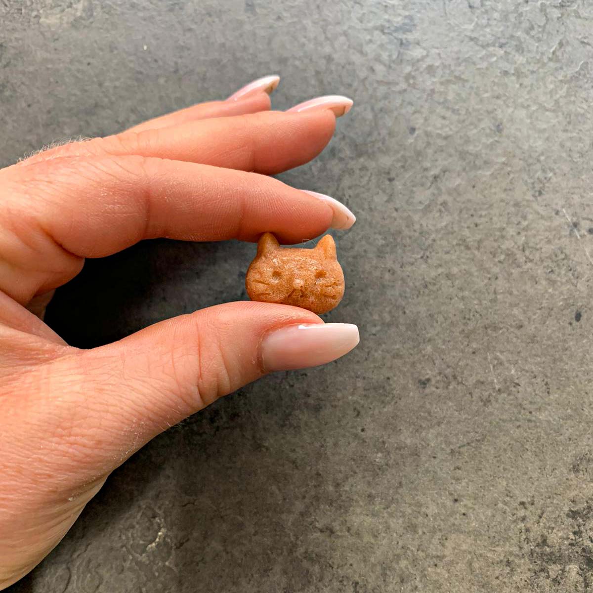 Collory Backmatten Hundekekse Oster Bundle (mittelgroße/ große Hunde)