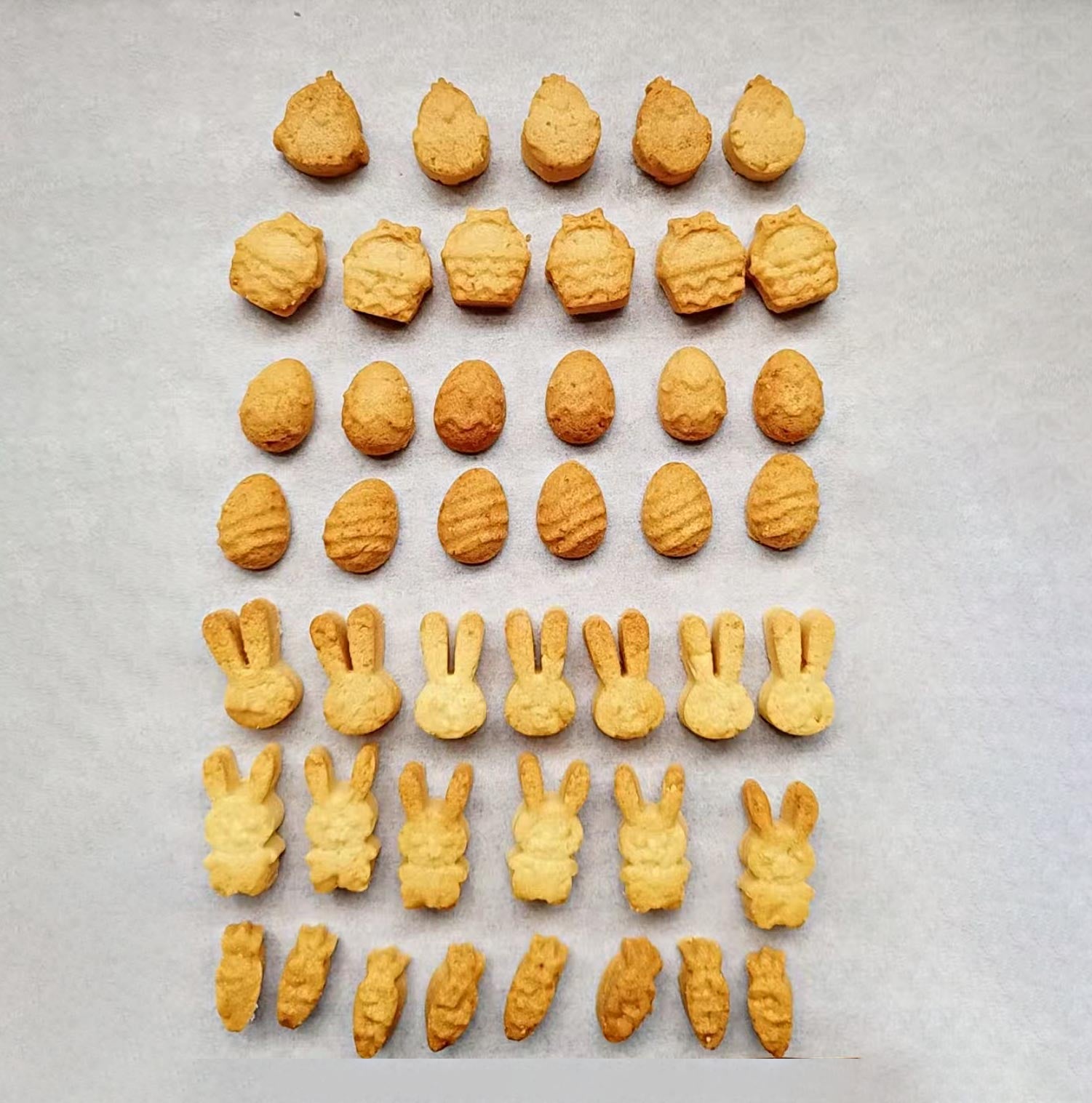 Collory Backmatten Hundekekse Oster Bundle (mittelgroße/ große Hunde)