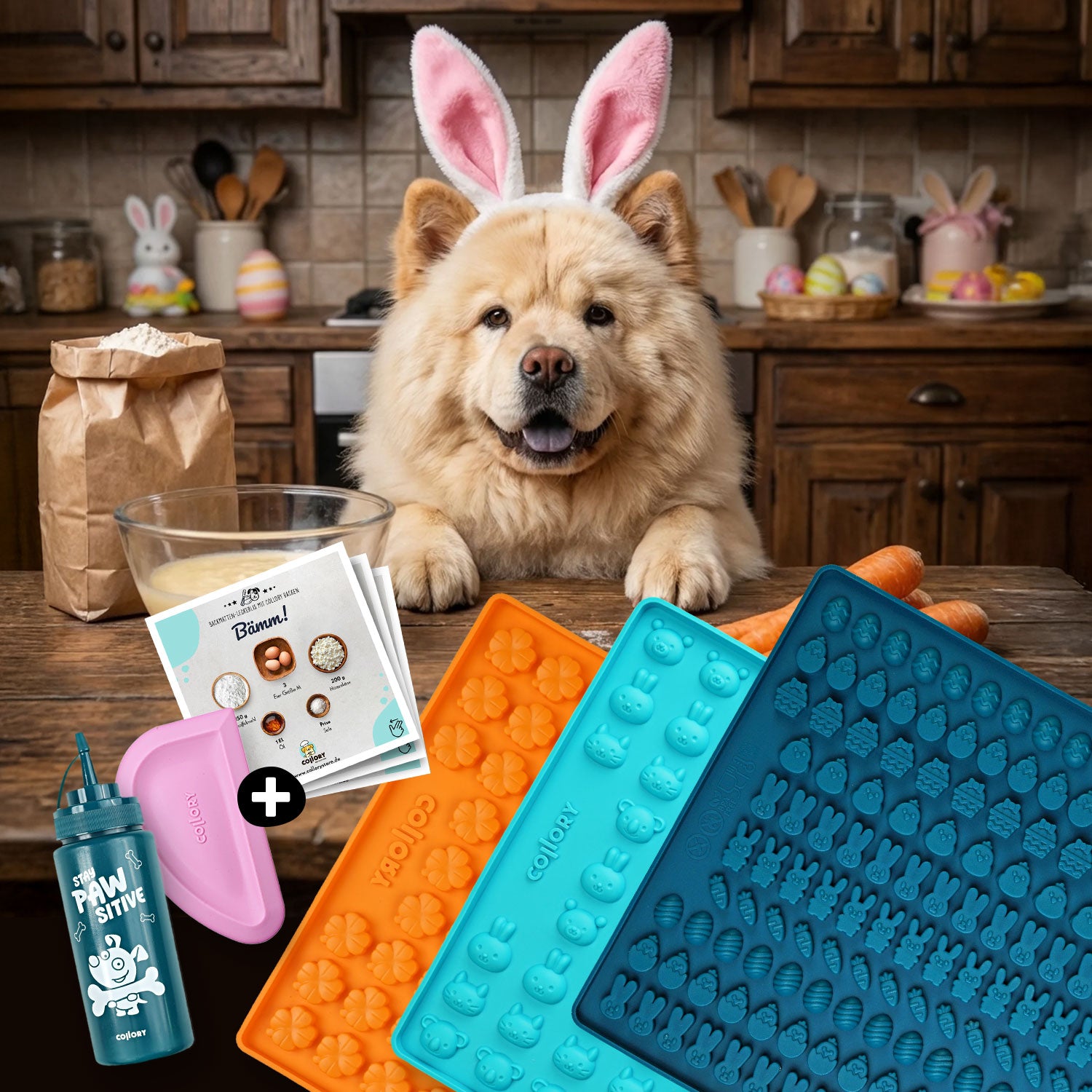 Collory Backmatten Hundekekse Oster Bundle (mittelgroße/ große Hunde)