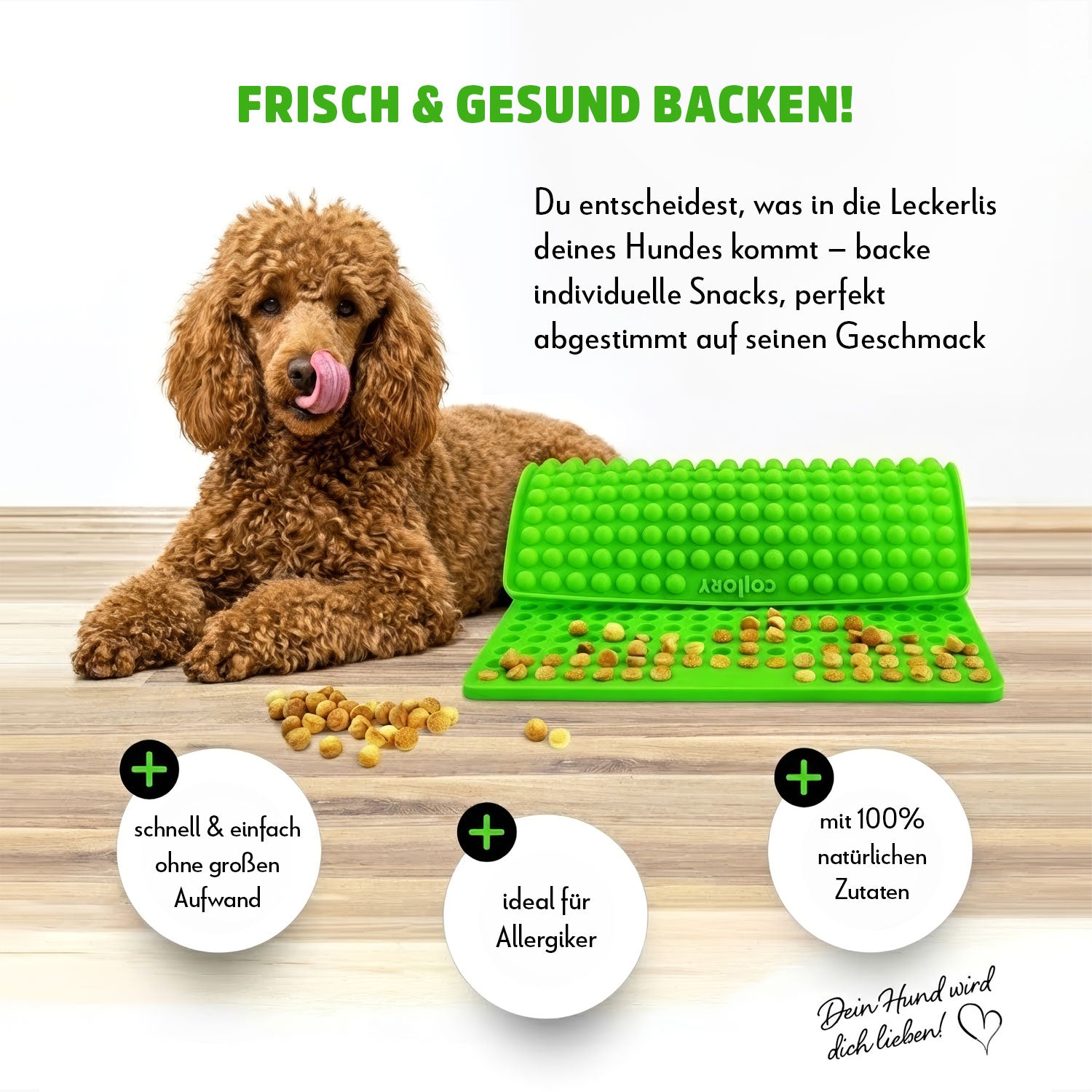Collory Backmatten Hundekekse Oster Bundle (mittelgroße/ große Hunde)