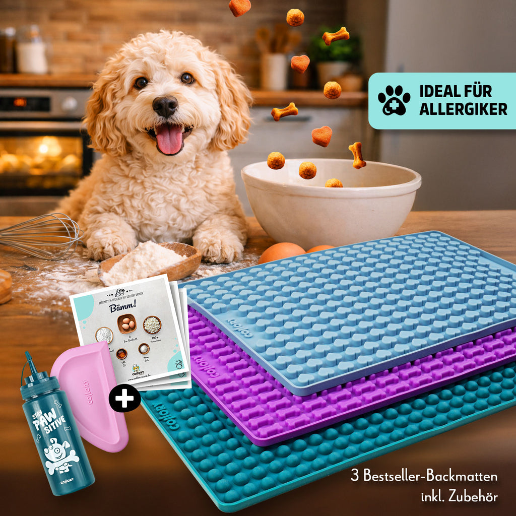 Collory Backmatten Hundekekse Starter Paket (kleine/mittelgroße Hunde)